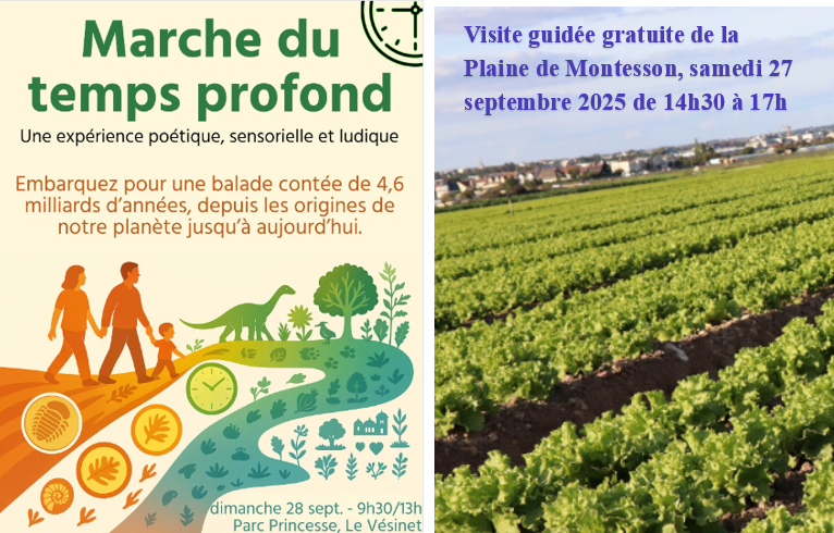 actualites-2